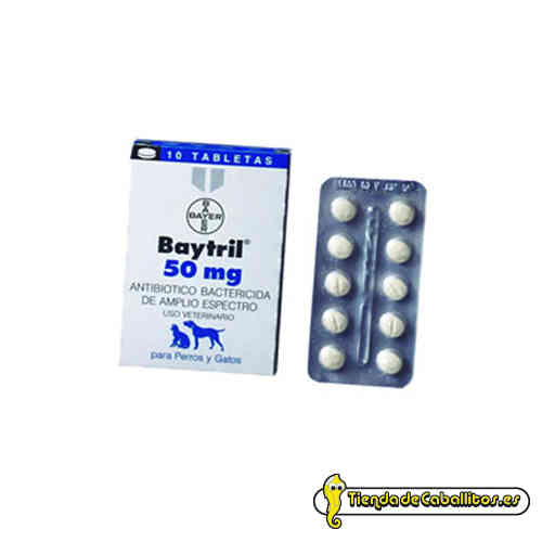 Baytril 50 mg (Enrofloxin)