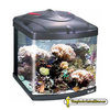 Blau acuaristic cubic compact reef complet marino 60L