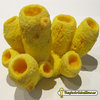 Cribrochalina sp (Esponja amarilla)