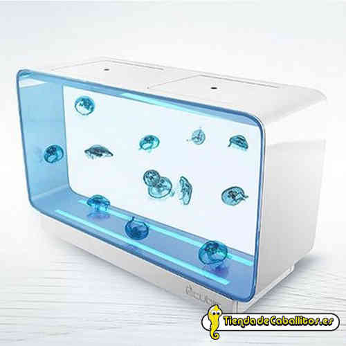 Medusario Cubic Pulse 280 acuario para medusas exclusivo de 300 l