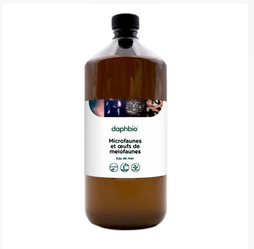 Daphbio® Live Meiofauna Microfauna (500 ml)